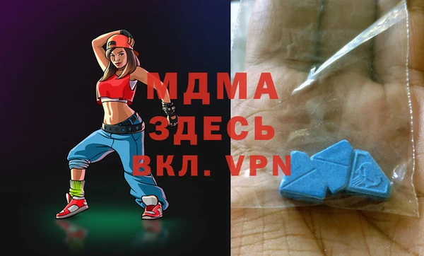spice Ельня