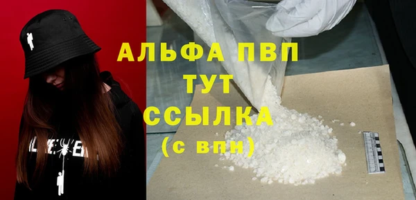 spice Ельня