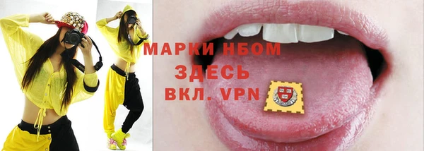 spice Ельня