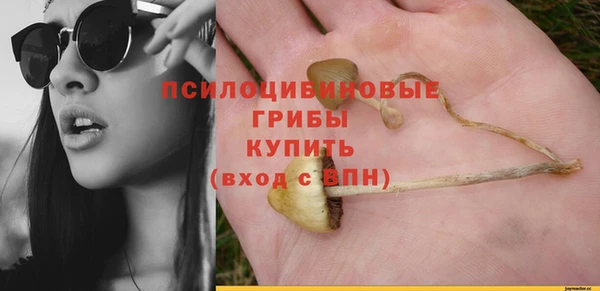 spice Ельня