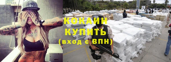 spice Ельня