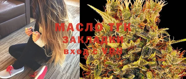 spice Ельня
